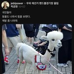 동물 끌고나와서 <b>시위</b>하는것들은