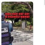 [19] 경찰이 ㅈㄴ 불쌍하네