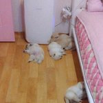 손민수같은넘