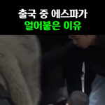 에스파 공항 이동 중 <b>팬들</b>땜에  애기 넘어져 다침 ㄷㄷ