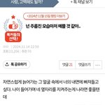 너 덕분에 톡선도 먹었다 야, <b>개꿀</b>야르