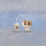 오빠 <b>나</b>랑 결혼해