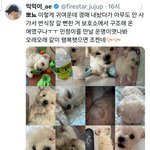 [드루와] <b>윈터</b> 강아지 펫샵 vs 보호소
