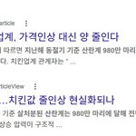 계란값 폭등 <b>민주당</b> 정권 때문이라는 거 잘못