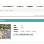 <b>고양이</b> 죽이자 새덕후들 허위 사실 유포