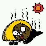 난 <b>여름</b> 좋다는 애들 진짜 신기함