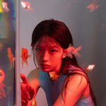 와 <b>안유진</b> 조카 예쁘다