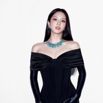 화이트 vs 블랙 <b>지수</b>, 진짜 못 고르겠다