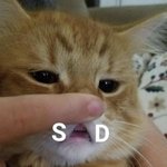 <b>우산</b>쓰기
