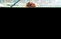 빠져나올수없는 온유매력