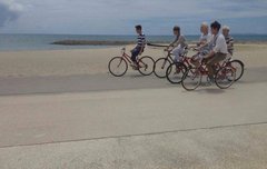 애들아 한국으로 돌아와