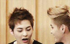 [대표적인 고양이상 아이돌]