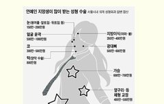 [대표적인 성형수술 연예인]