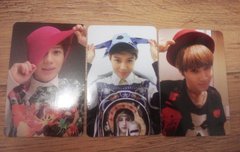 미컨형제태민이포카특징이뭔지아심?