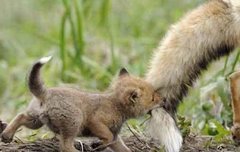 [윤후와 윤민수]