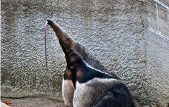 숨은 최종훈찾기