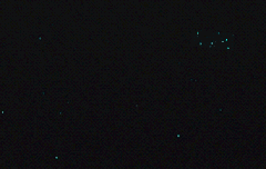 샤월누나들 탈덕은안되요!!