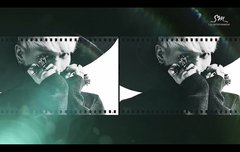 메들리영상에 나오는 새사진