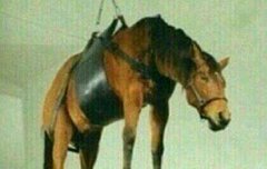 아 존나...내말좀들어봐 빡침ㅅㅂ