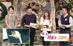 올 겨울 그녀들의 잇 아이템, 카라 니트