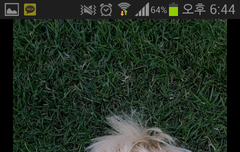 이차니는 진심 머리빨따위 ㄲㅈ