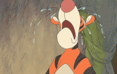 언니들 우리 공식 2기