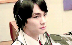 키봄이의 애교짤  더쿠죽음