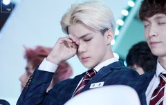 근데 대체 버블이가 뭐하는애야?