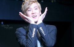 아나안올려했는데