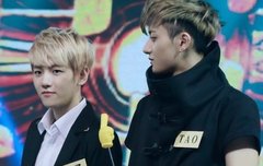 타오 어떤라인이 좋음?