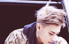 타오 진짜 황쯔타오 정말