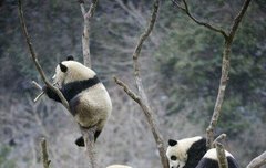 킁킁 여기서 타오 냄새가나요