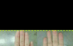 여러분들 손 한번 봐바요