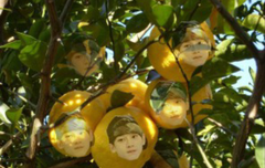 유자첸발견!!!!!ㅋㅋㅋㅋㅋ