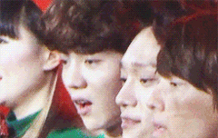 오늘 내가 비대에올린 미친개구리짤