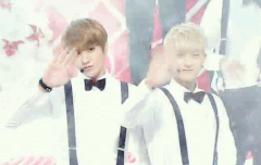 여기와서고닉들보니까