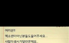 이거진짜면진심