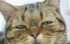 헐 위너 실력 쩐다ㄷㄷ