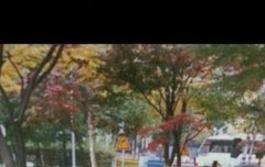 너네 엑소 구분할수있냐