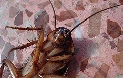 ㅇㅅㄴ ㄱㄴ ㅉㅇㄷ