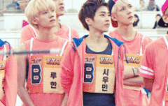 연예인 누구누구봐보셨어요?