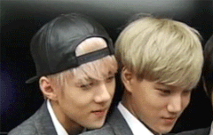 오세훈이 공인 이유