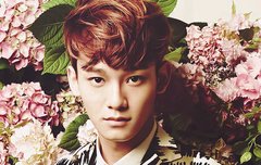 짤이나풀어야지(첸