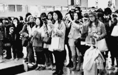 공항짤들의 진실