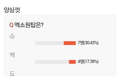 이거투표진심으로한거임?