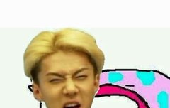 엑소 그럼 다 여친 있다고?