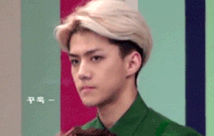 움짤로보는 세훈이의 꾹꾹이