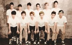 진짜 엑소 딱 한번만이라도 보고싶다..