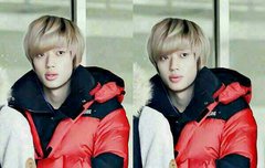 개인사진하나씩