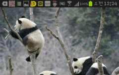 다들 배경 자랑해봐요